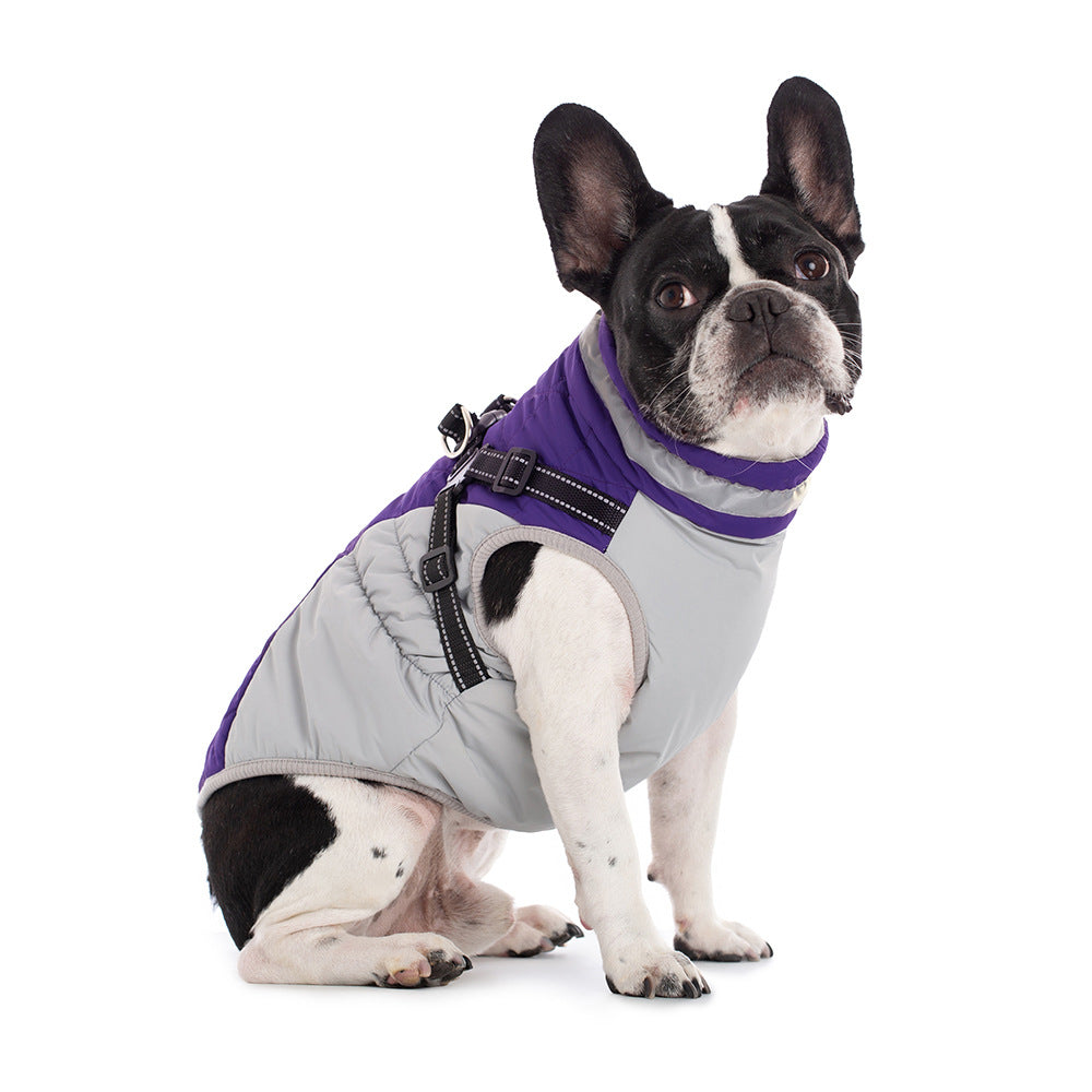Dog sitting wearing purple fleece-lined zip-up dog jacket