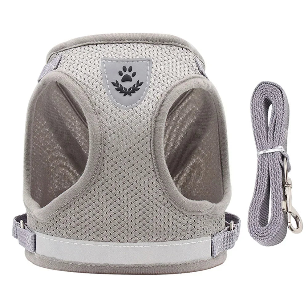 Reflective Escape-Proof Cat & Dog Harness with Leash | Pawly