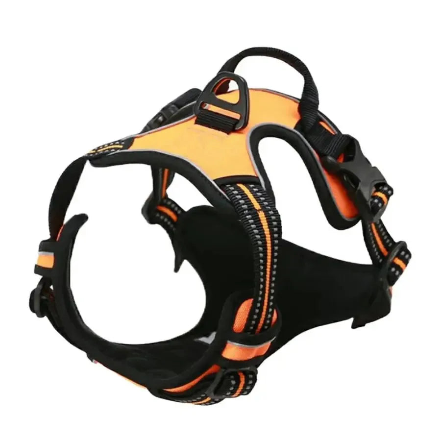 Vest Harness & Leash Set for Small & Medium Dogs | Pawly