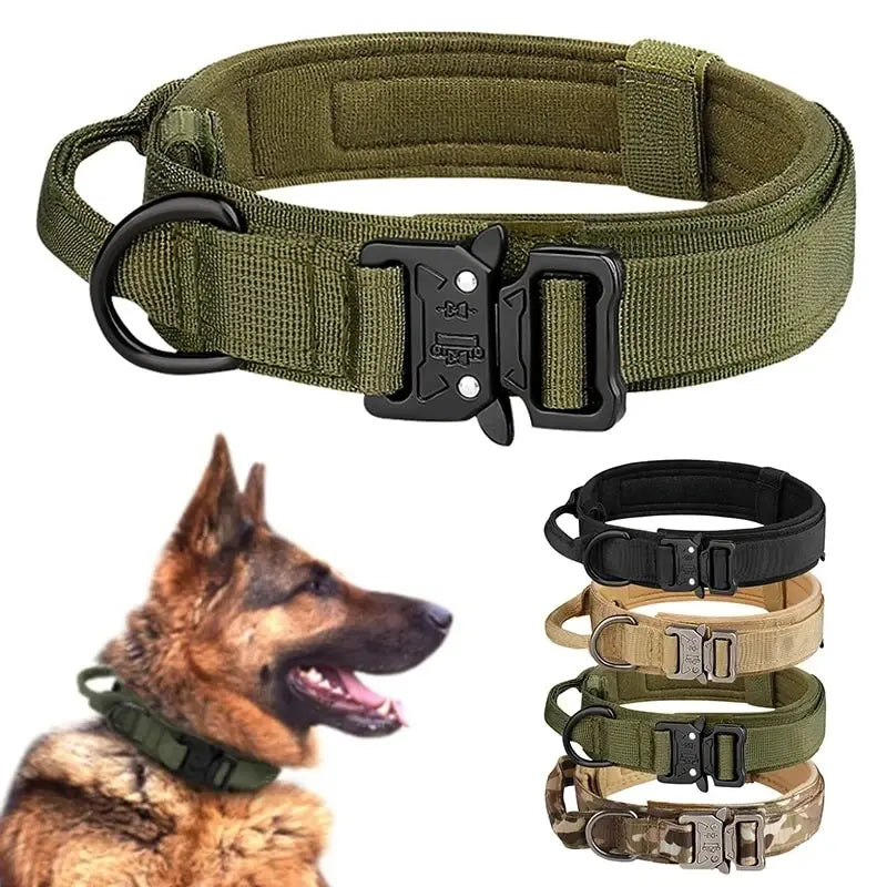 Dog Harness vs Collar: Which Is Better for Your Pet?