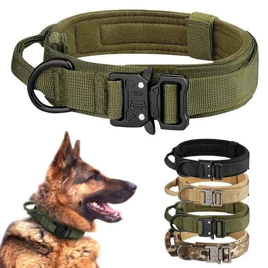 Dog Harness vs Collar: Which Is Better for Your Pet?