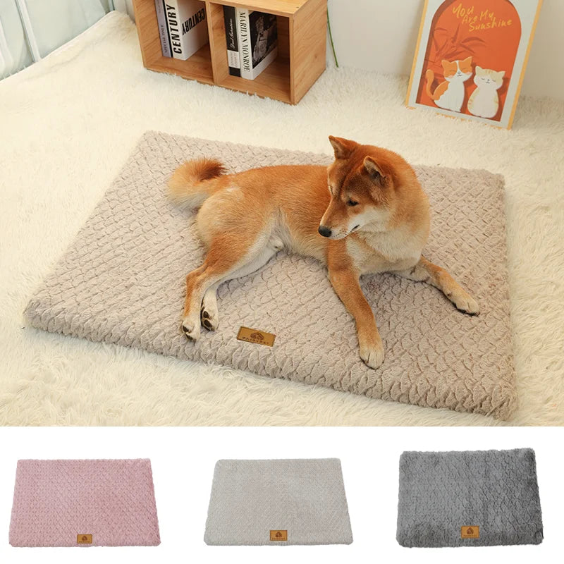 How to Choose the Best Dog Bed for Better Sleep