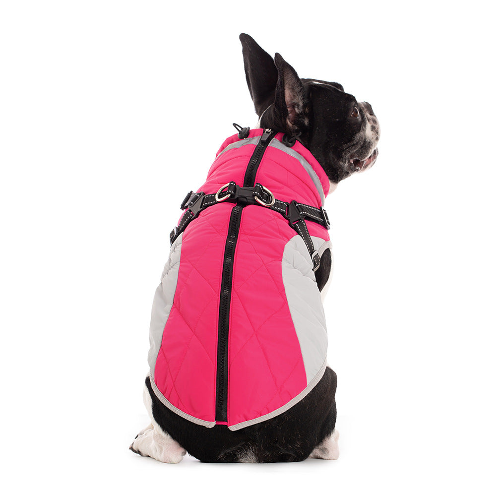 Dog sitting wearing pink fleece-lined zip-up dog jacket