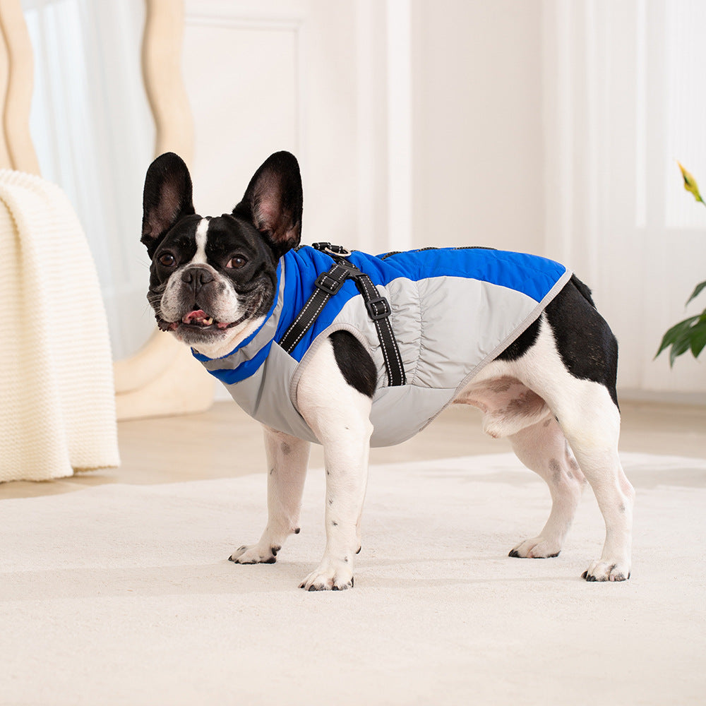 Dog wearing blue fleece-lined waterproof jacket - front view