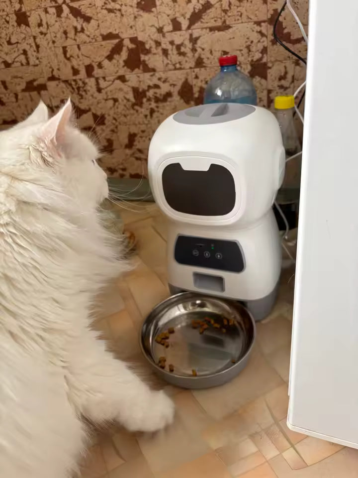3.5L Automatic Pet Feeder with WiFi & Voice Recorder | Pawly