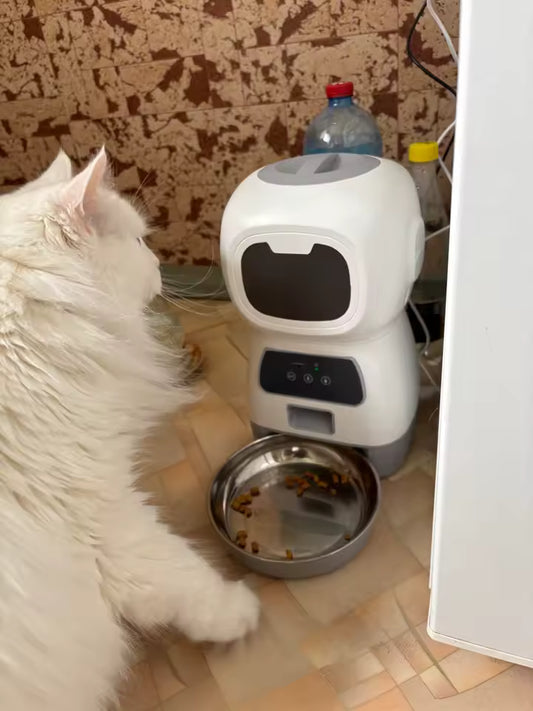 3.5L Automatic Pet Feeder with WiFi & Voice Recorder | Pawly