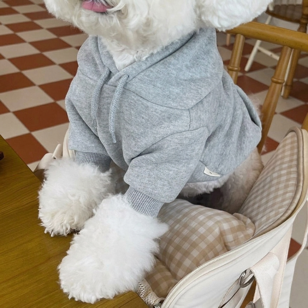 Small dog wearing gray casual hoodie jacket - front view