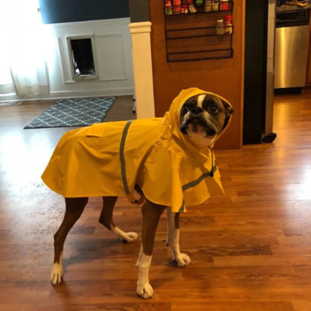 Reflective Hooded Dog Raincoat | Pawly