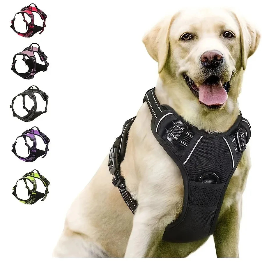 Vest Harness & Leash Set for Small & Medium Dogs | Pawly
