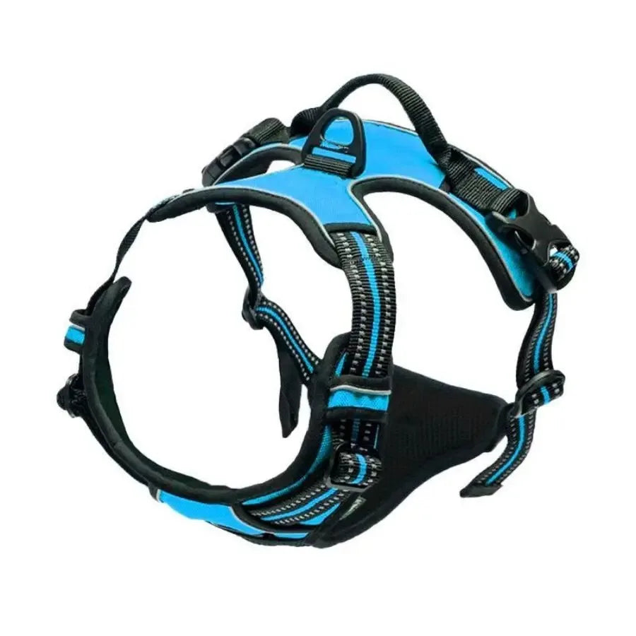 Vest Harness & Leash Set for Small & Medium Dogs | Pawly