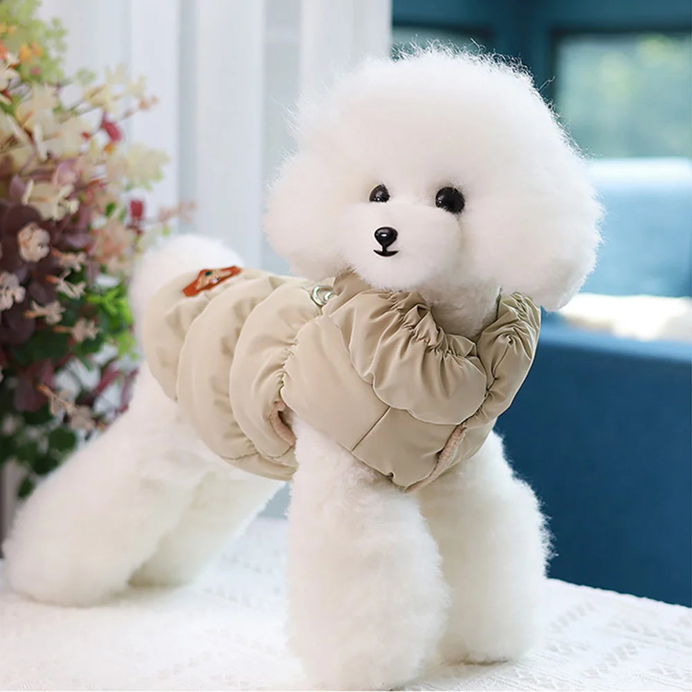 Padded Winter Coat for Small Dogs & Cats | Pawly