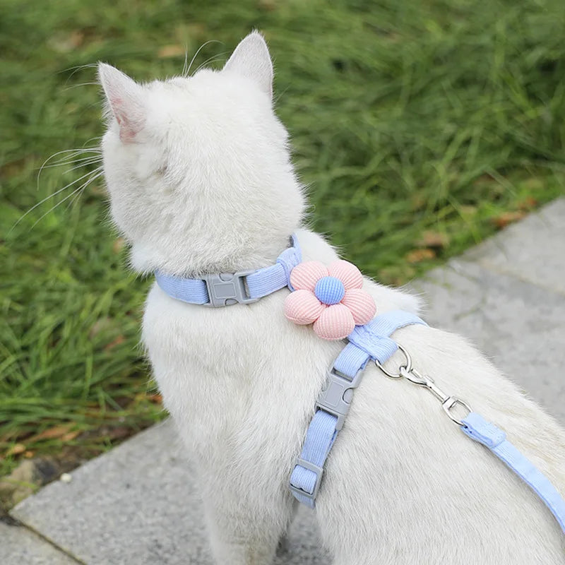 Soft Harness & Leash Set for Cats and Small Dogs | Pawly