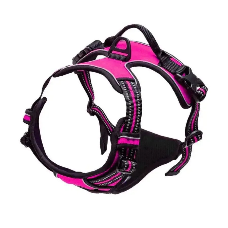 Vest Harness & Leash Set for Small & Medium Dogs | Pawly