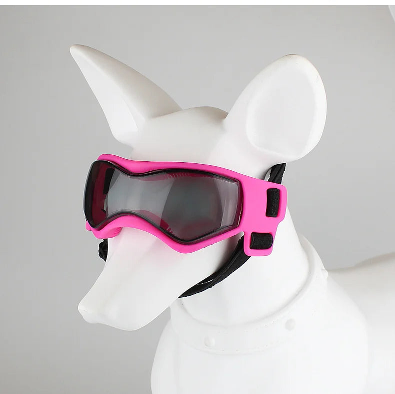 UV Protection Sunglasses & Goggles for Dogs | Pawly