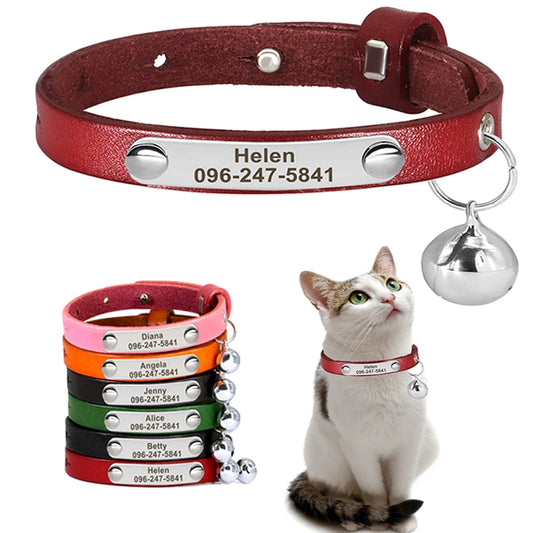 Personalized Leather Cat Collar with Custom Name Tag | Pawly