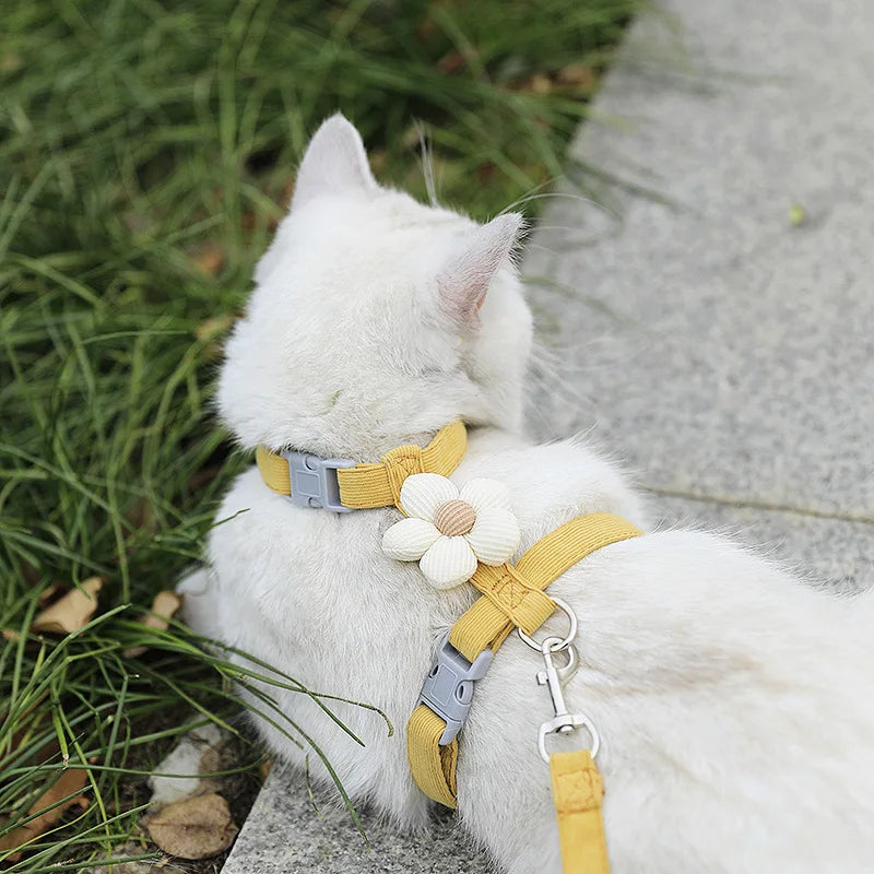 Soft Harness & Leash Set for Cats and Small Dogs | Pawly
