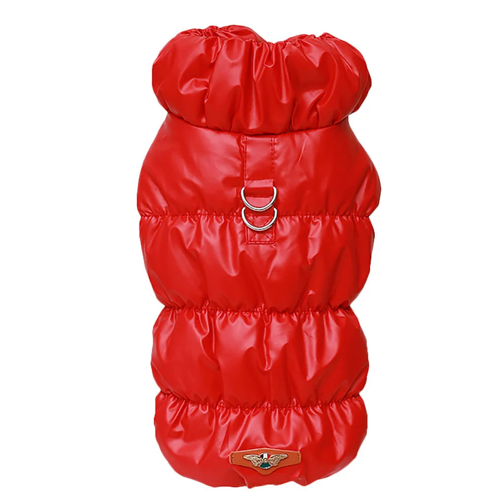 Padded Winter Coat for Small Dogs & Cats | Pawly