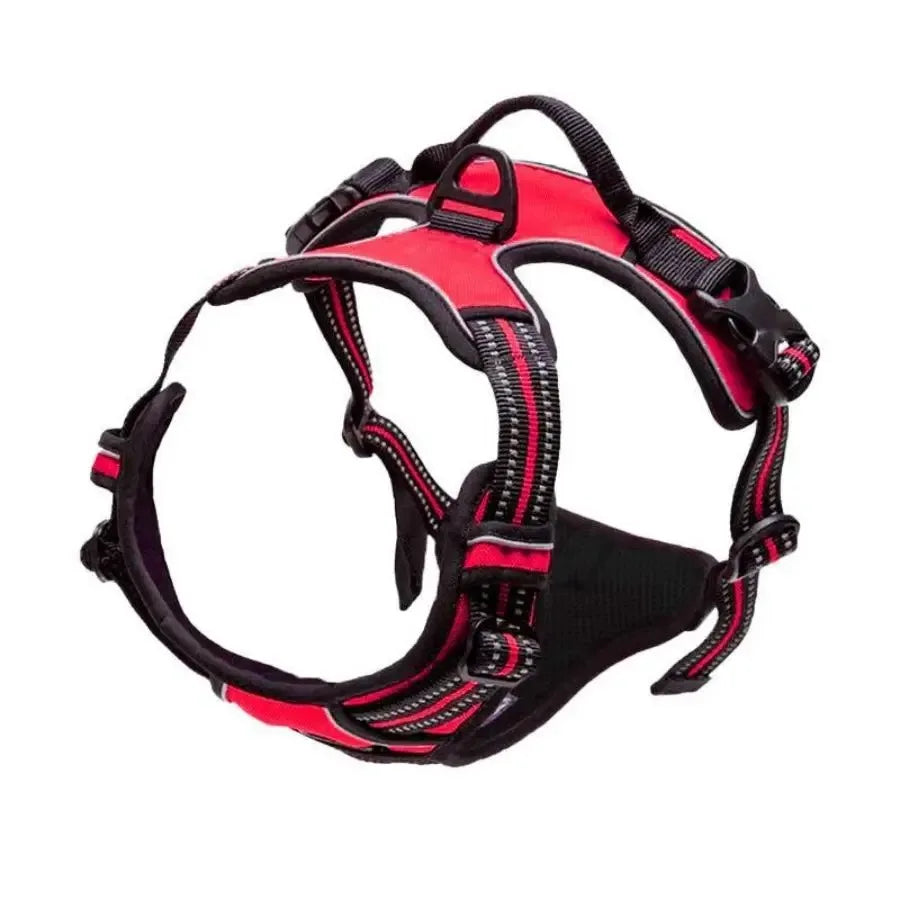 Vest Harness & Leash Set for Small & Medium Dogs | Pawly