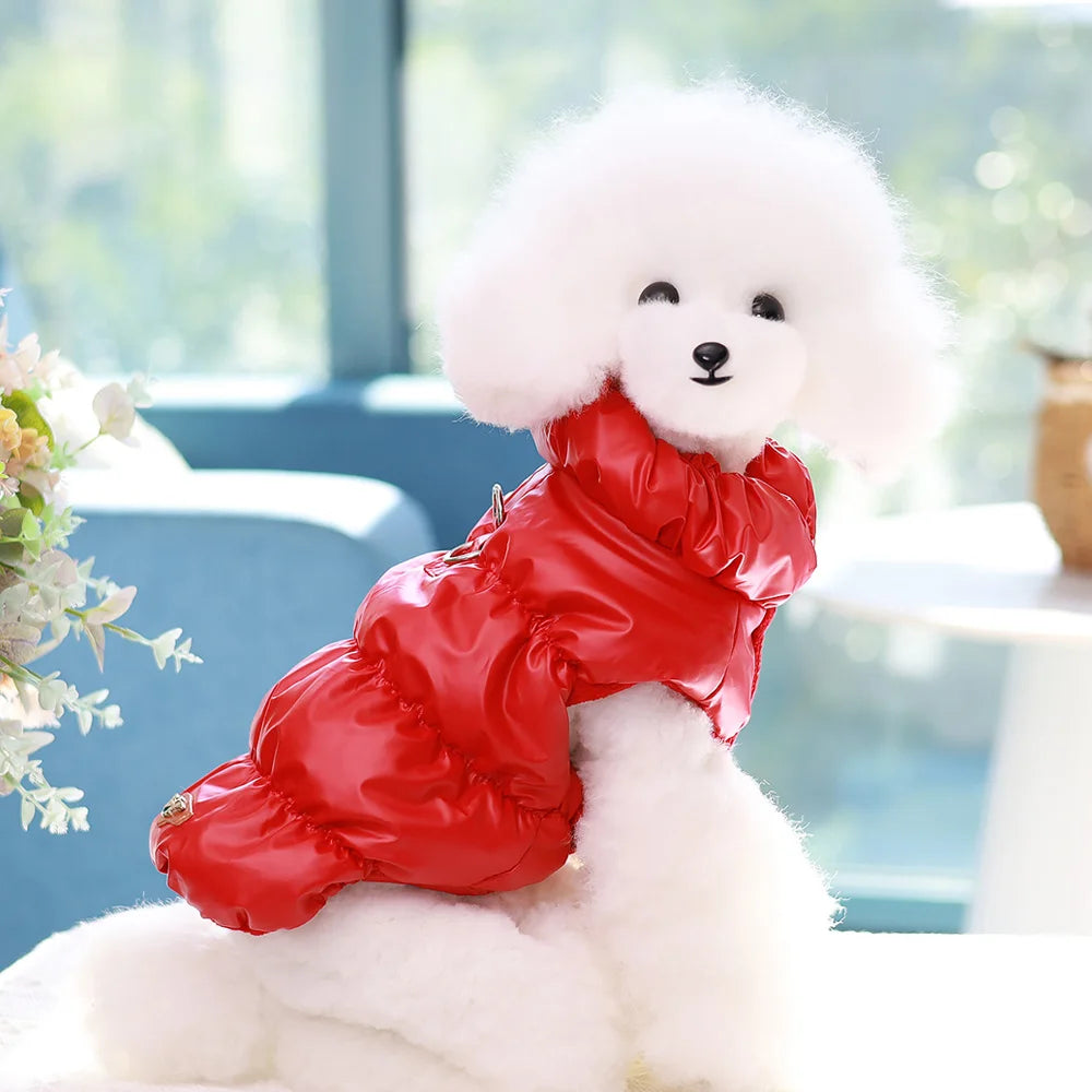 Padded Winter Coat for Small Dogs & Cats | Pawly
