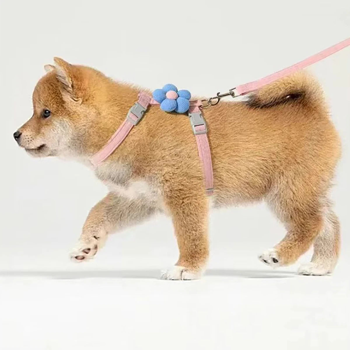 Soft Harness & Leash Set for Cats and Small Dogs | Pawly