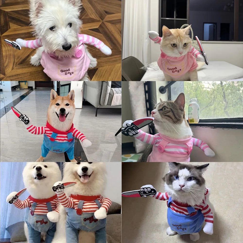 Halloween Cosplay Costume for Dogs & Cats | Pawly