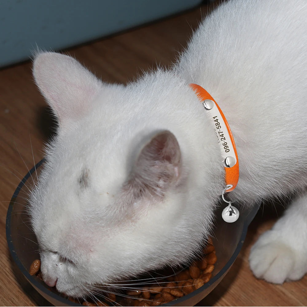 Personalized Leather Cat Collar with Custom Name Tag | Pawly