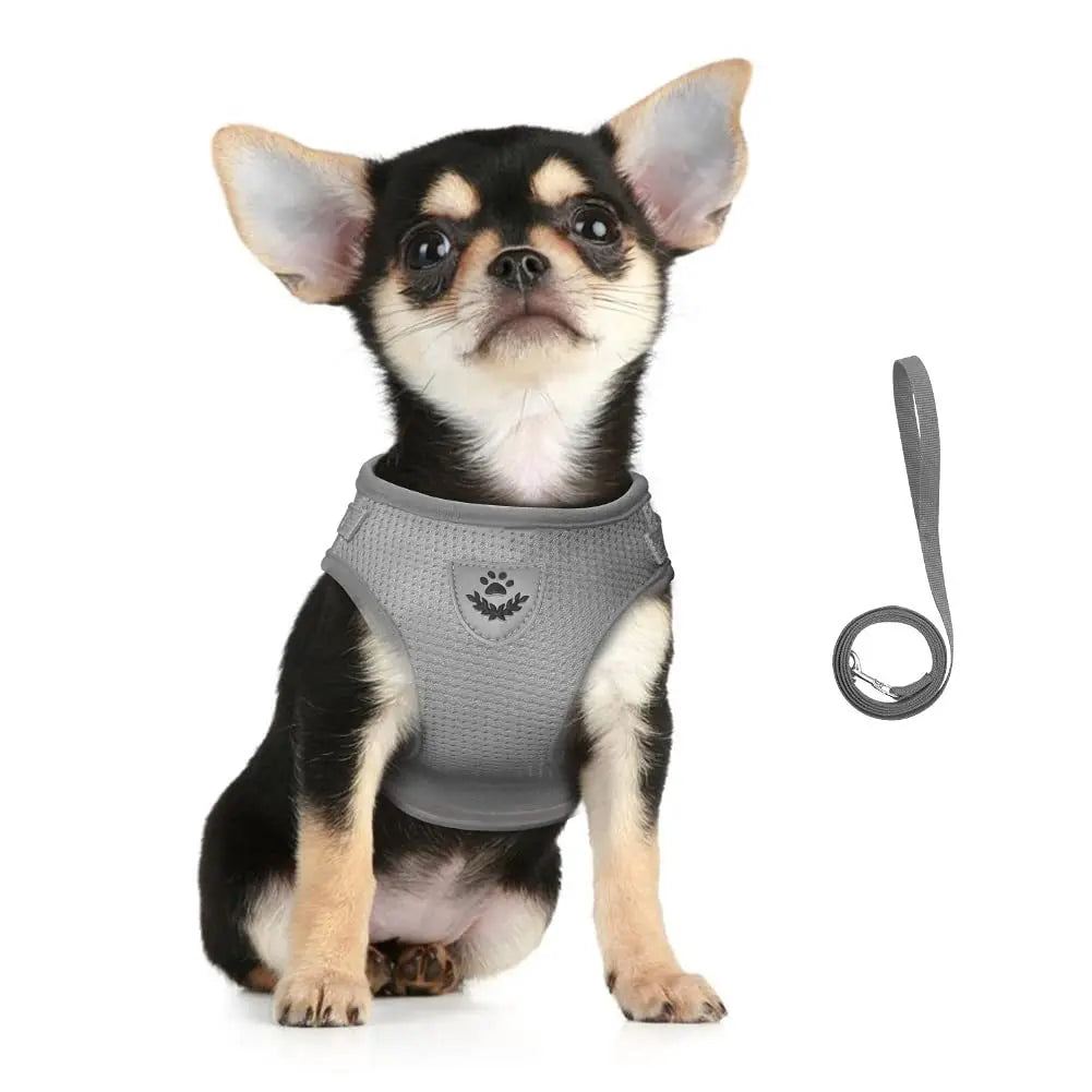 Reflective Escape-Proof Cat & Dog Harness with Leash | Pawly