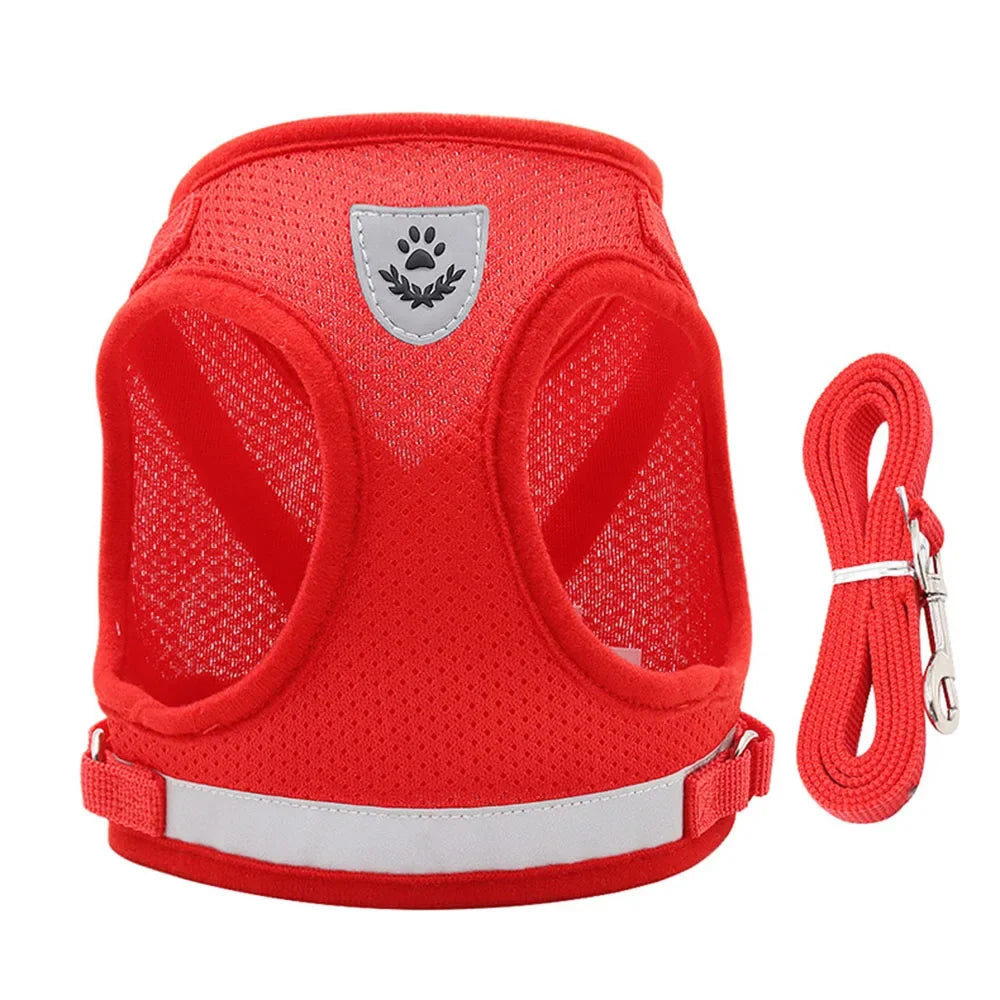 Reflective Escape-Proof Cat & Dog Harness with Leash | Pawly
