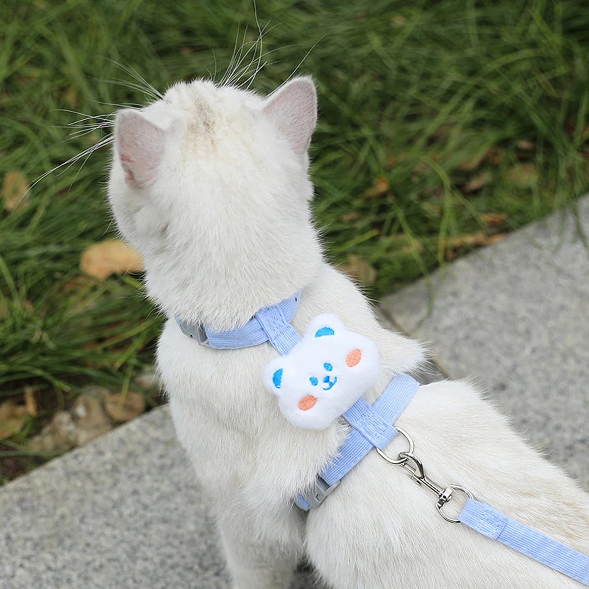 Soft Harness & Leash Set for Cats and Small Dogs | Pawly