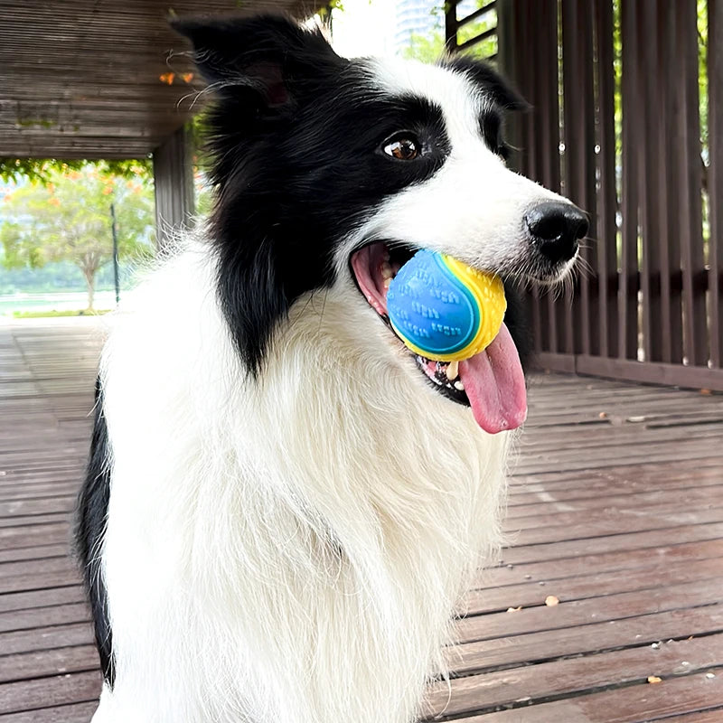 Squeaky TPR Dog Teeth Cleaning Ball Toy | Pawly