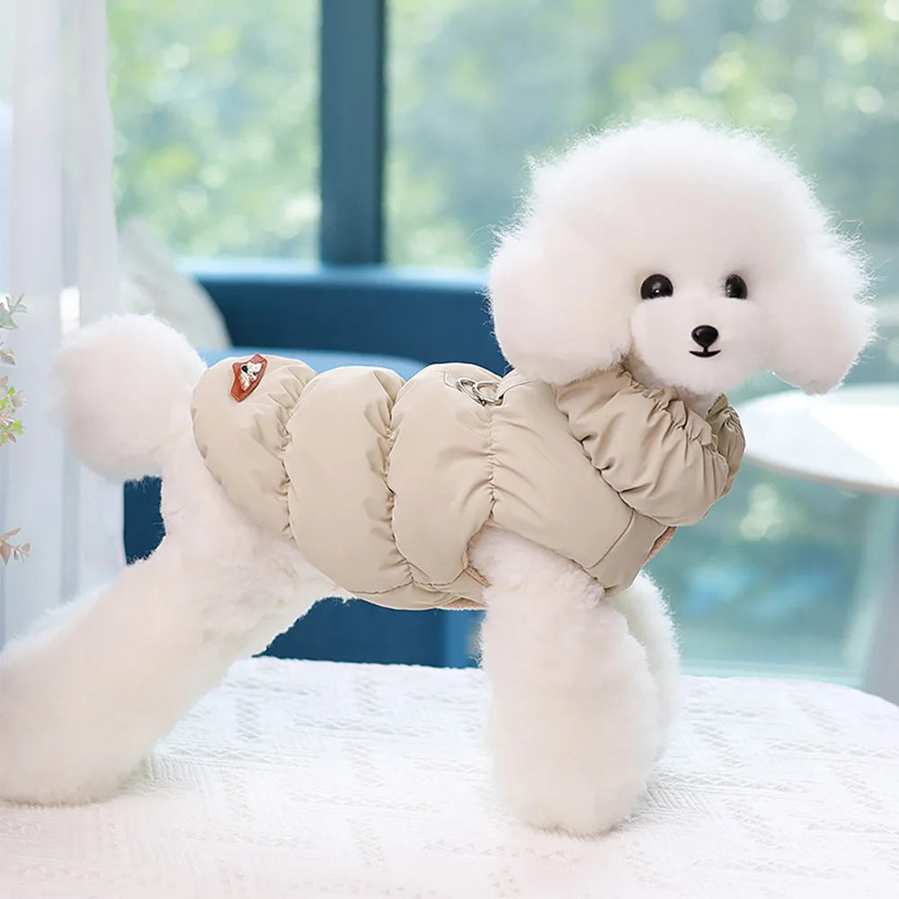 Padded Winter Coat for Small Dogs & Cats | Pawly