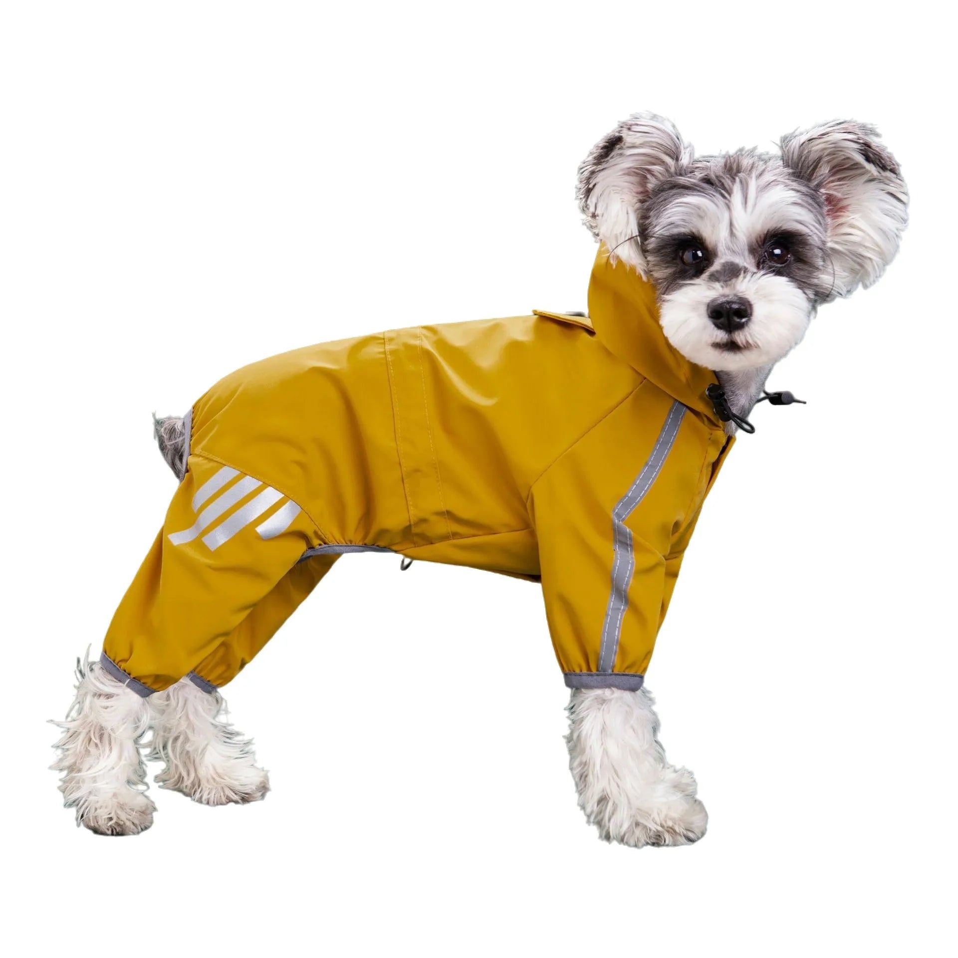 Waterproof Reflective Dog Raincoat Jumpsuit | Pawly