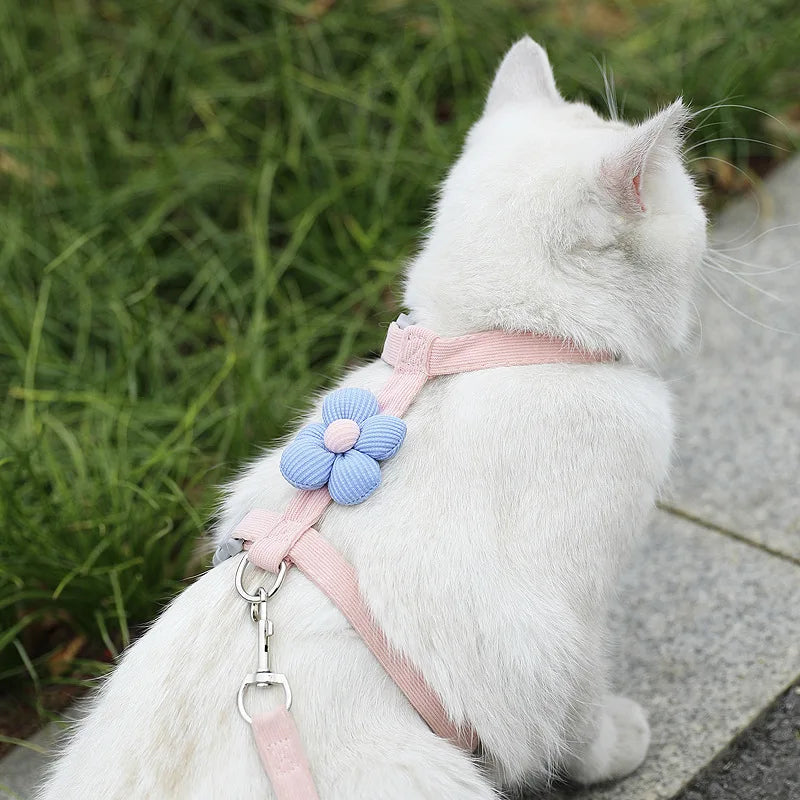 Soft Harness & Leash Set for Cats and Small Dogs | Pawly