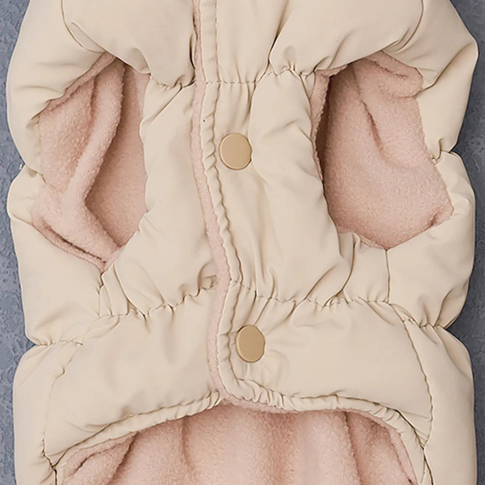 Padded Winter Coat for Small Dogs & Cats | Pawly