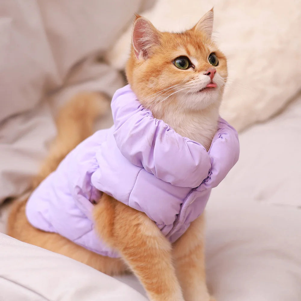 Padded Winter Coat for Small Dogs & Cats | Pawly
