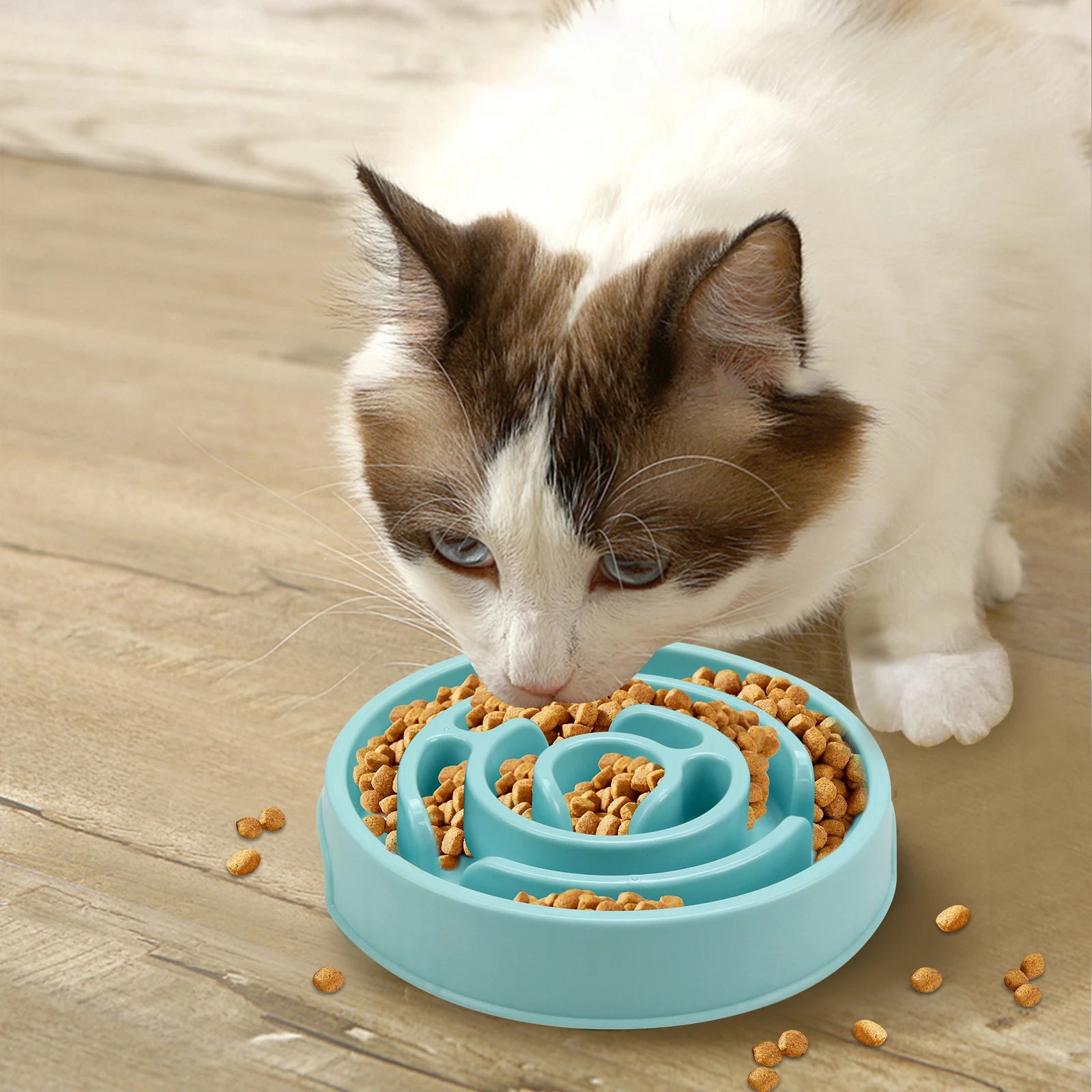 Non-Slip Slow Feeder Dog Bowl | Pawly