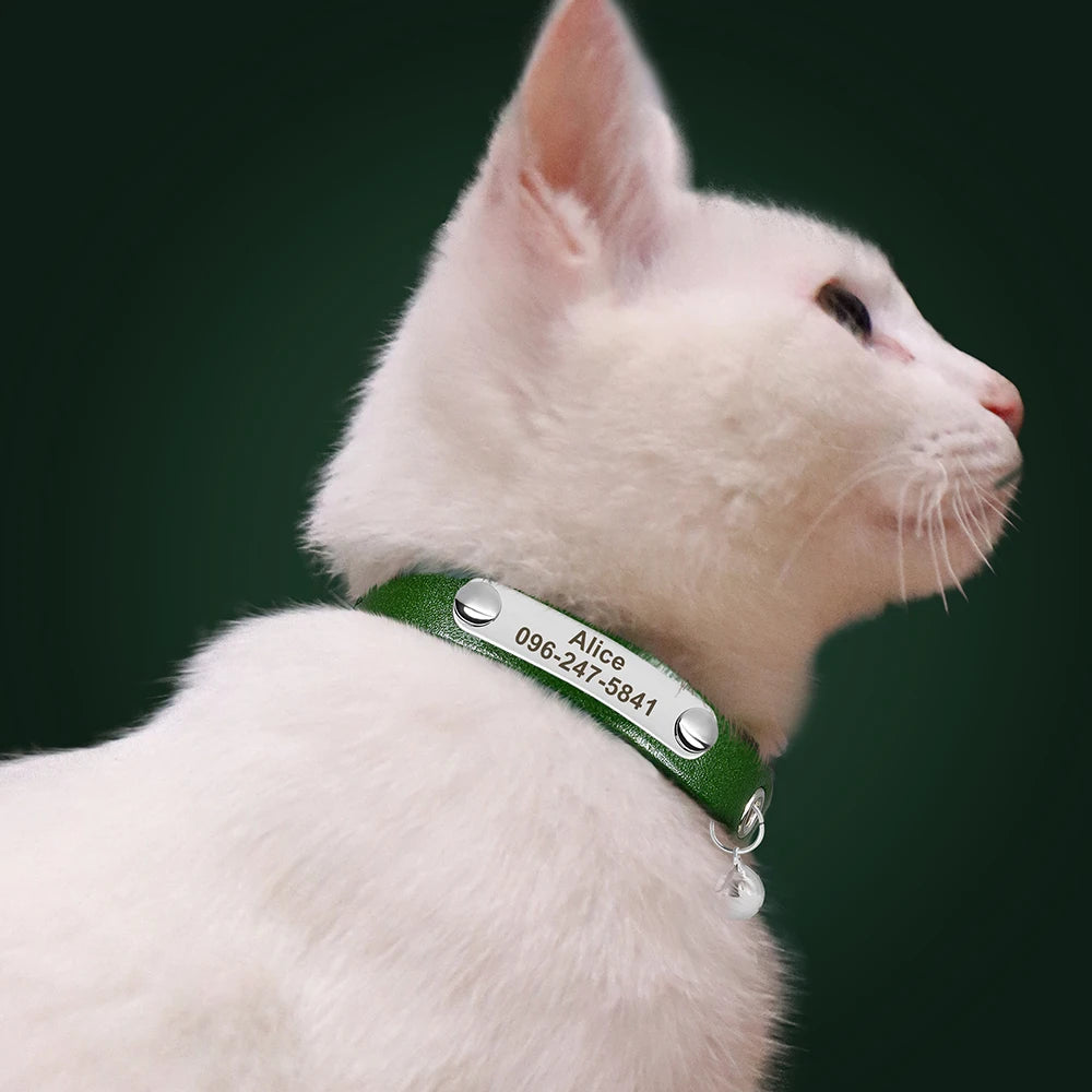Personalized Leather Cat Collar with Custom Name Tag | Pawly