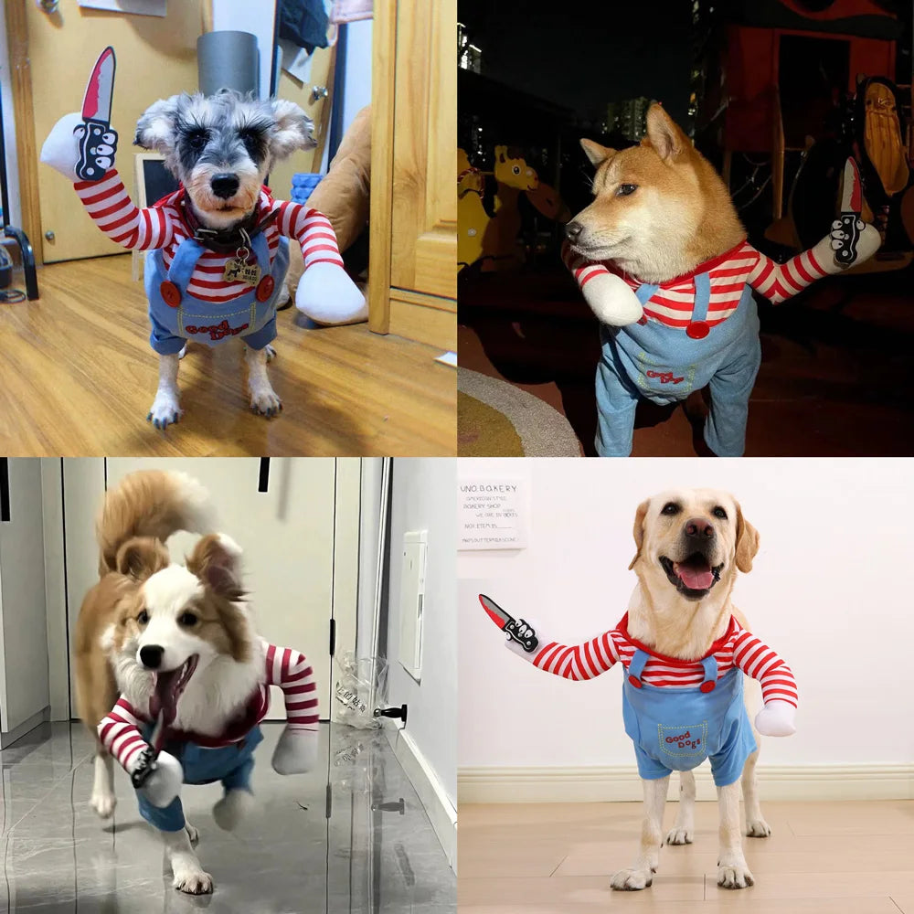 Halloween Cosplay Costume for Dogs & Cats | Pawly