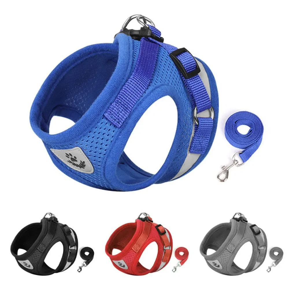 Reflective Escape-Proof Cat & Dog Harness with Leash | Pawly
