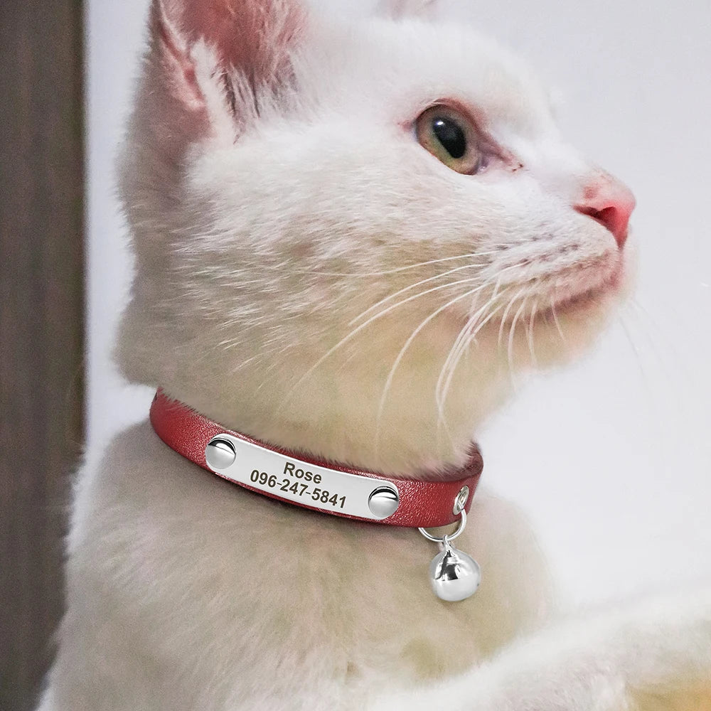 Personalized Leather Cat Collar with Custom Name Tag | Pawly