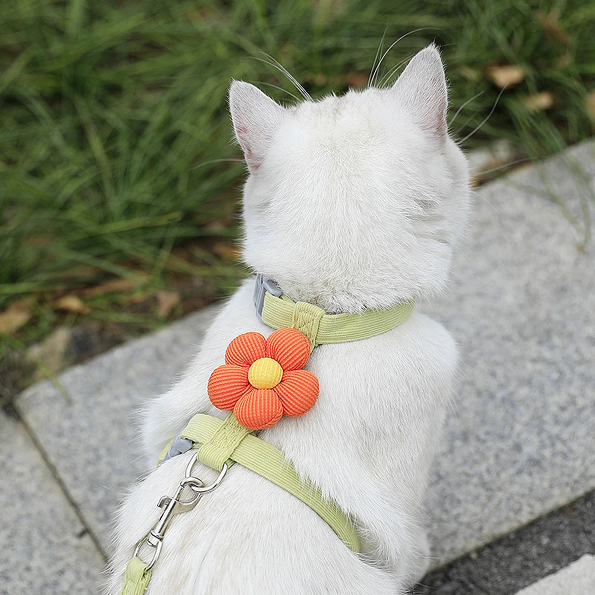 Soft Harness & Leash Set for Cats and Small Dogs | Pawly