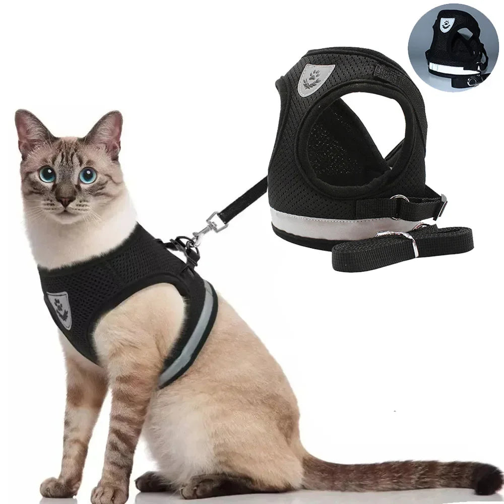 Reflective Escape-Proof Cat & Dog Harness with Leash | Pawly
