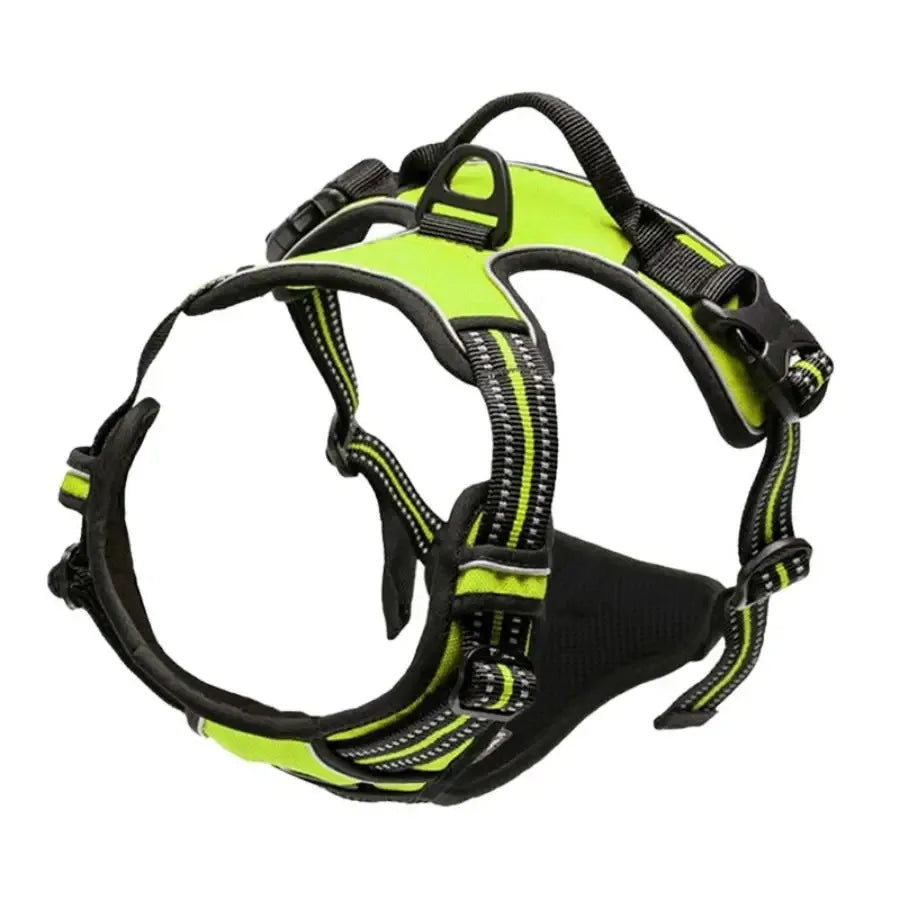 Vest Harness & Leash Set for Small & Medium Dogs | Pawly