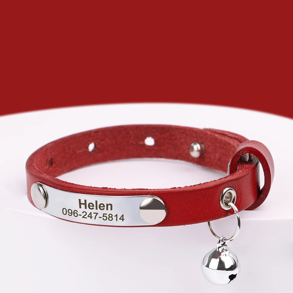 Personalized Leather Cat Collar with Custom Name Tag | Pawly