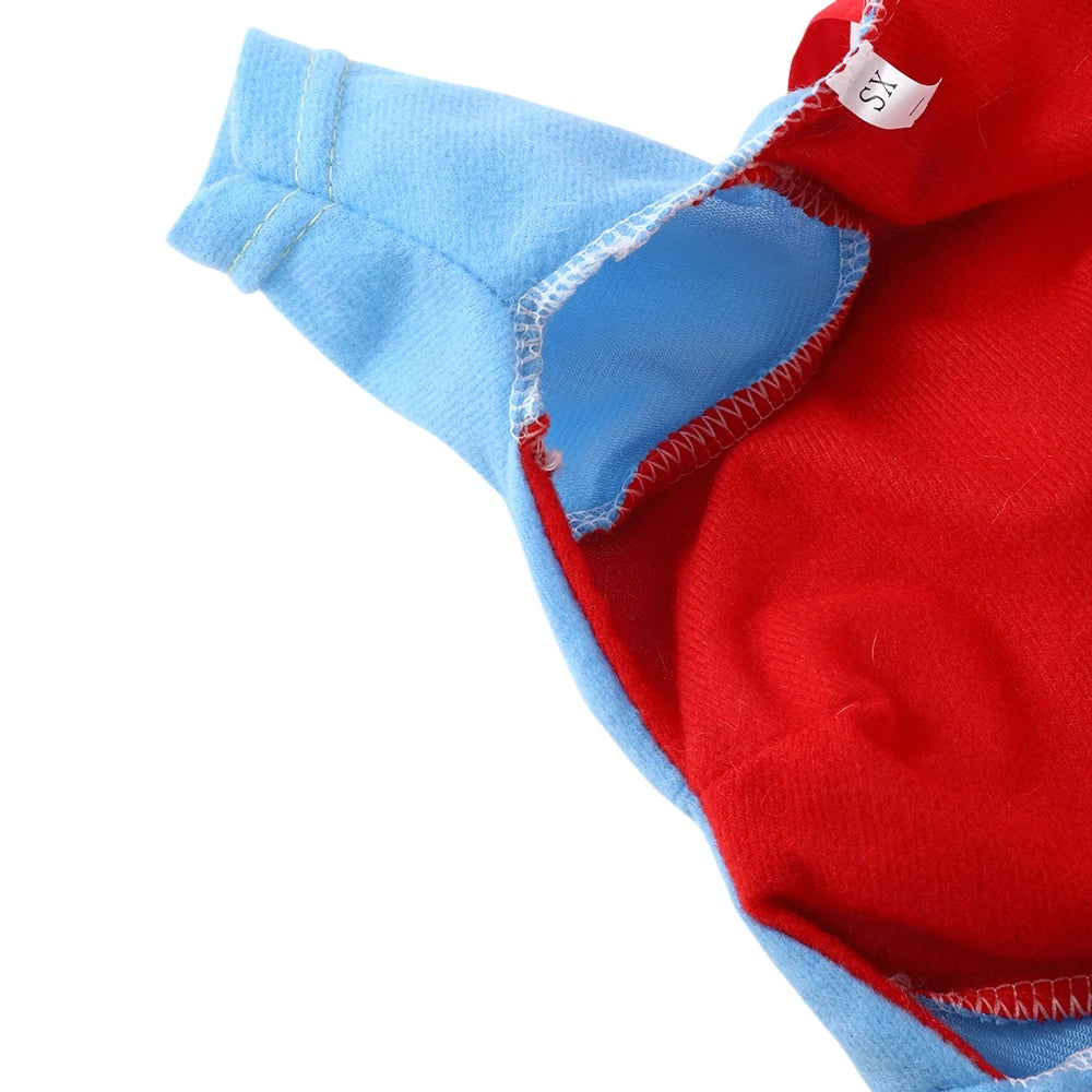 Halloween Cosplay Costume for Dogs & Cats | Pawly