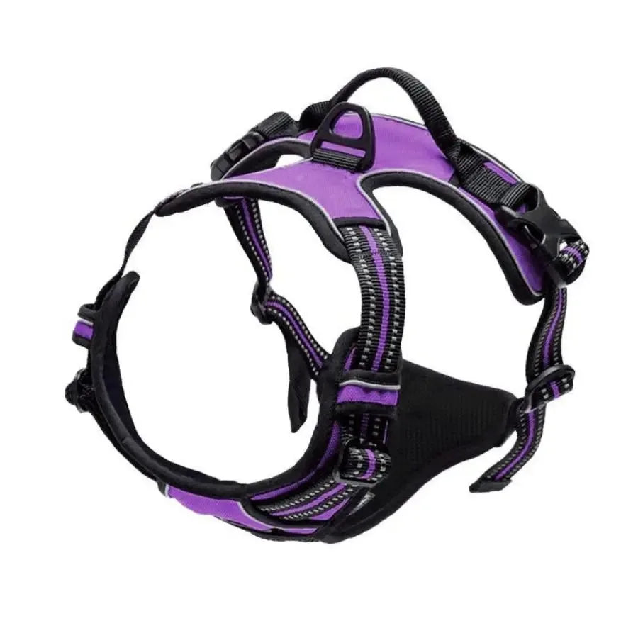 Vest Harness & Leash Set for Small & Medium Dogs | Pawly