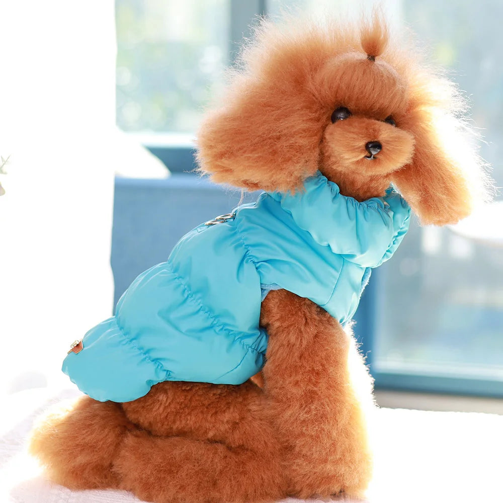 Padded Winter Coat for Small Dogs & Cats | Pawly