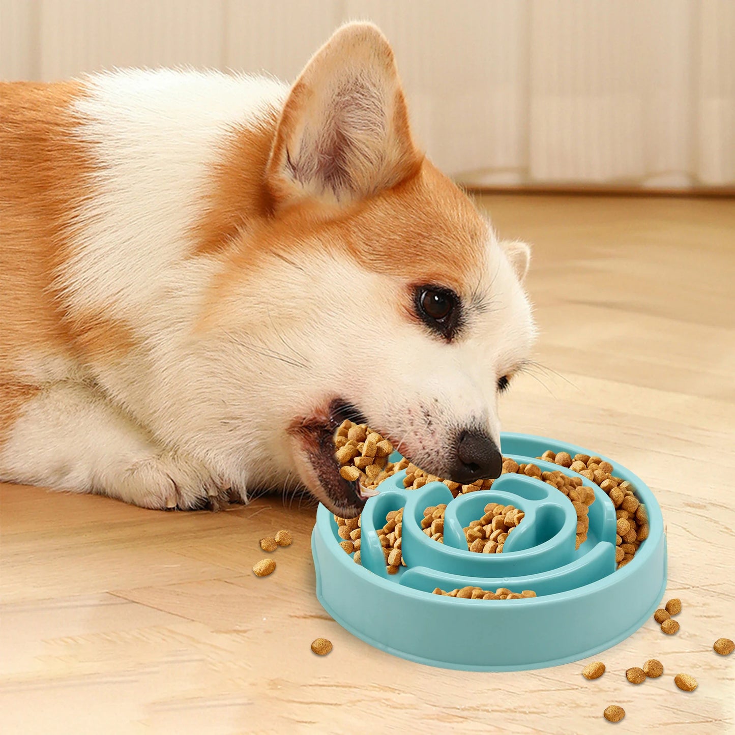 Non-Slip Slow Feeder Dog Bowl | Pawly