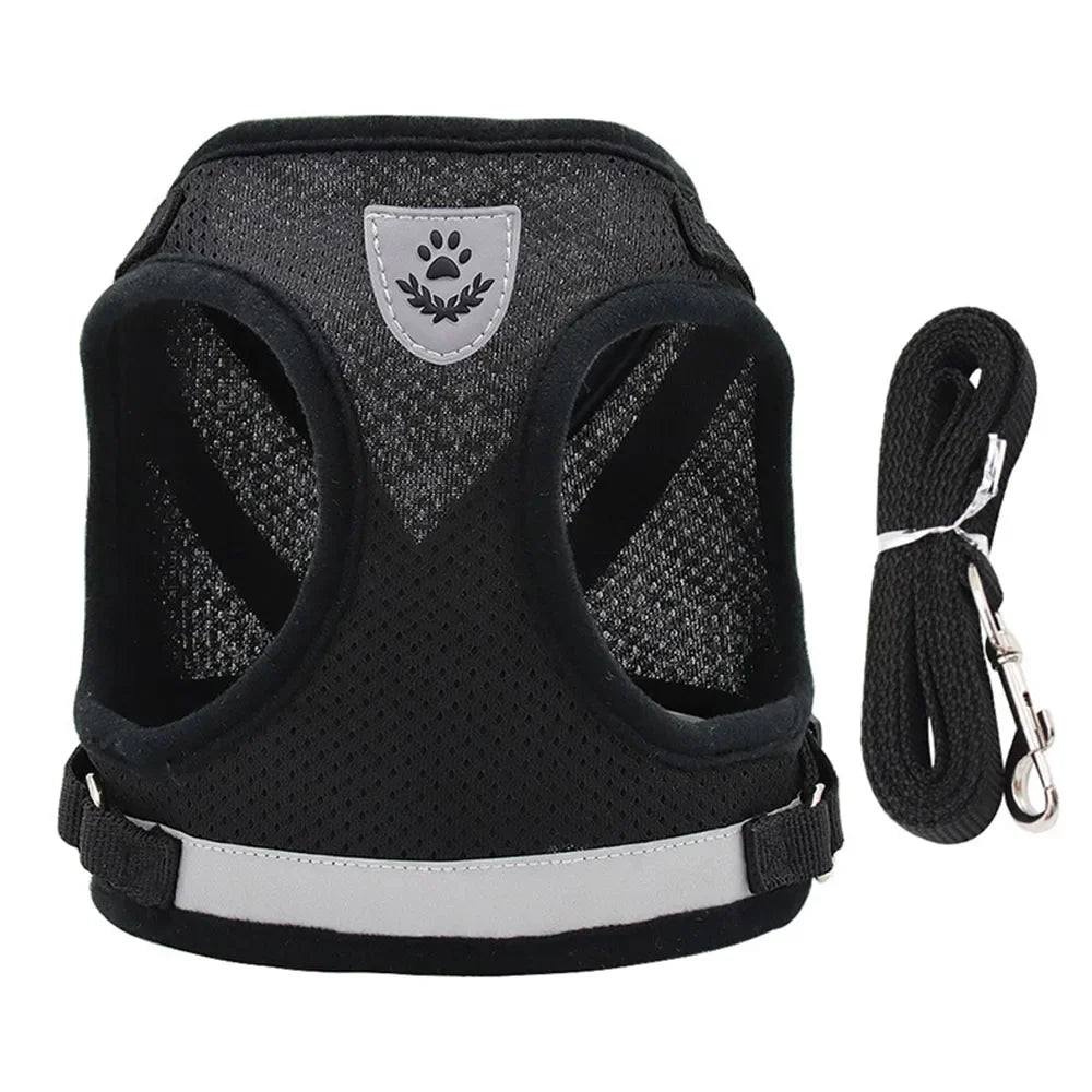 Reflective Escape-Proof Cat & Dog Harness with Leash | Pawly