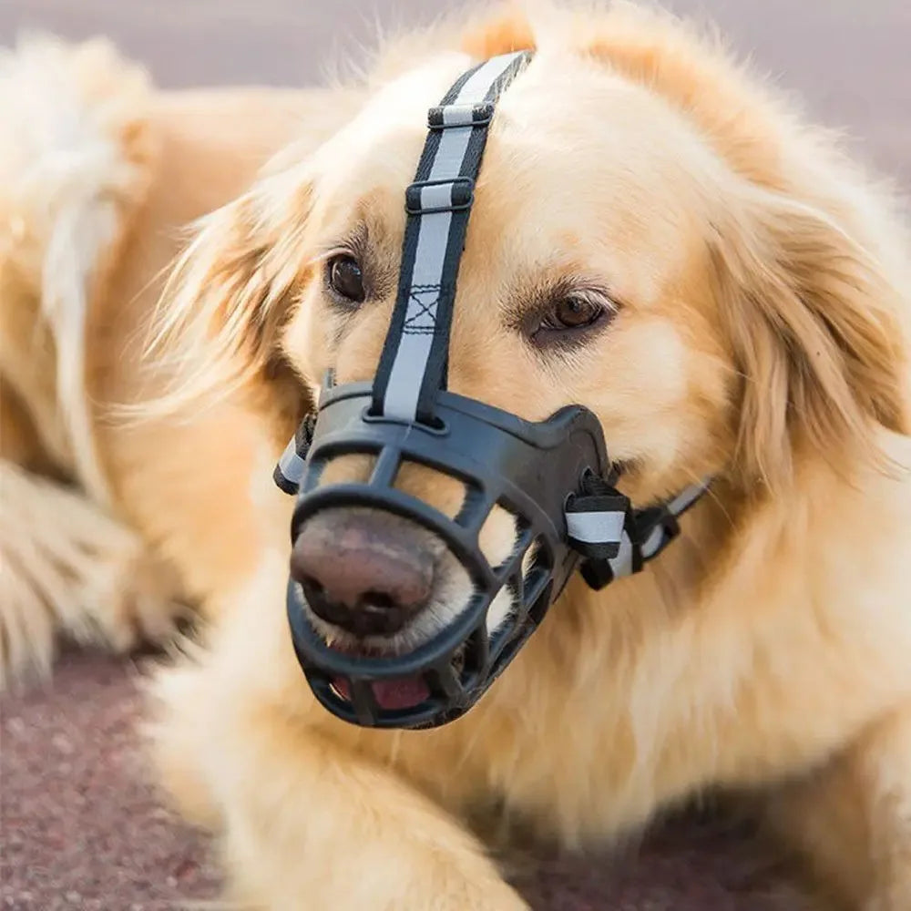 Breathable Silicone Dog Muzzle – Anti-Bite & Anti-Bark | Pawly